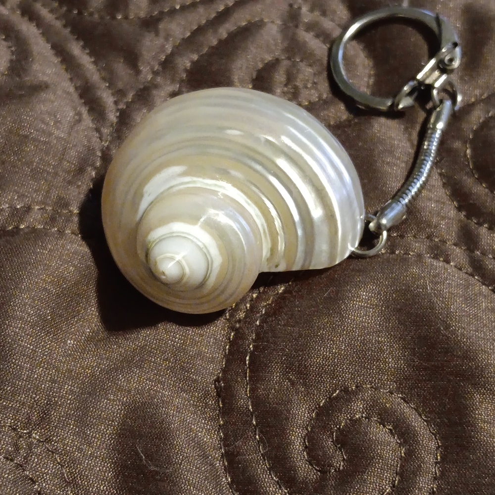 Elegant Shell Keychain - Picture 2 of 3